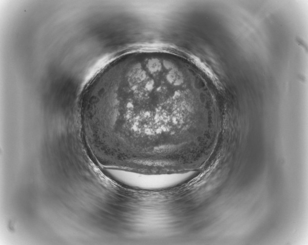 X0000093401456200711020925