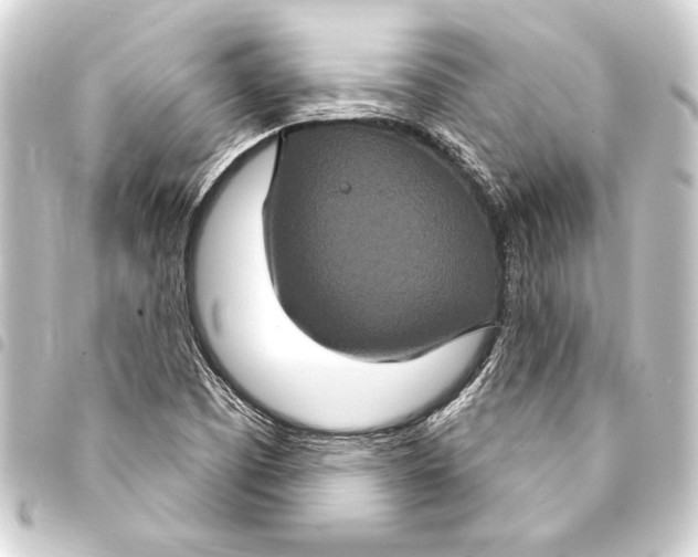 X0000093401457200711020925