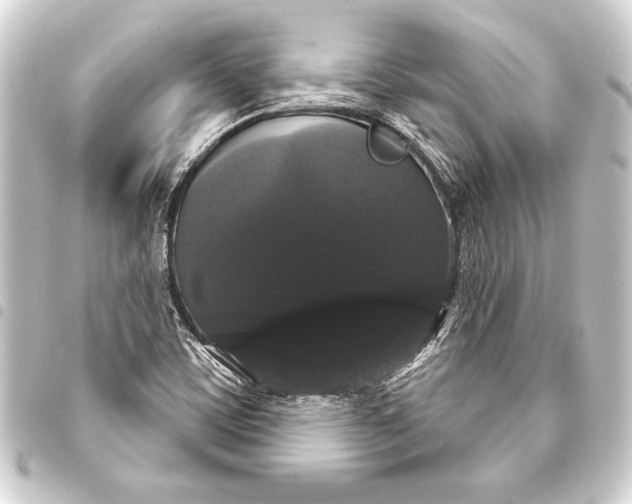 X0000093401459200711020925