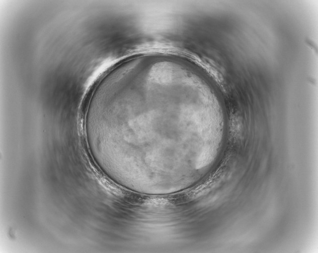 X0000093401462200711020925