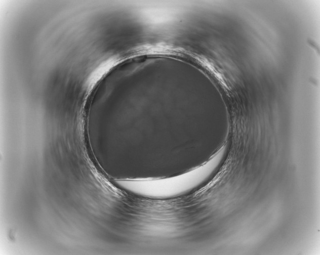 X0000093401463200711020925