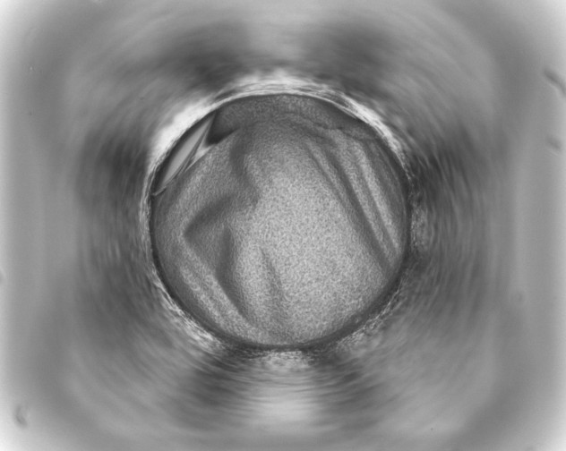 X0000093401464200711020925