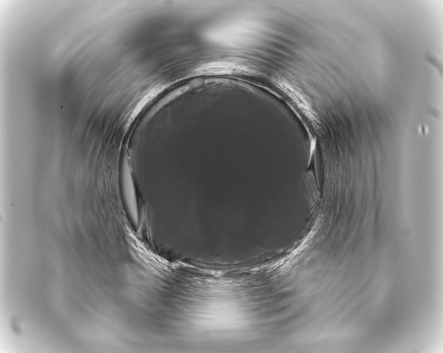 X0000093401465200711020925