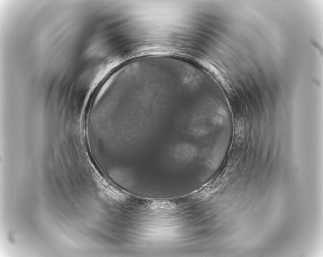 X0000093401466200711020925