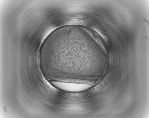 X0000093401468200711020925