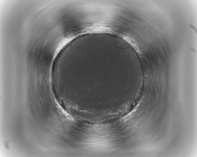 X0000093401469200711020925