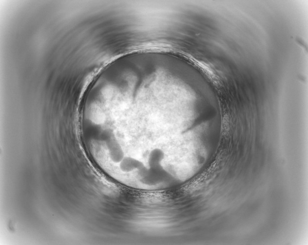 X0000093401470200711020925