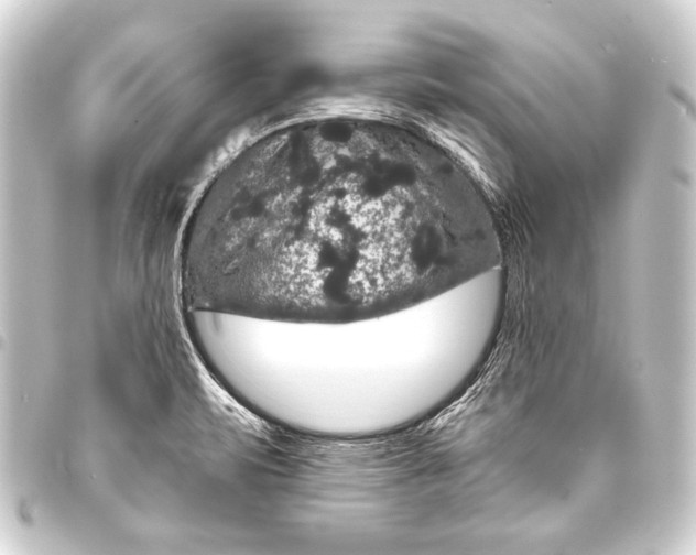 X0000093401471200711020925