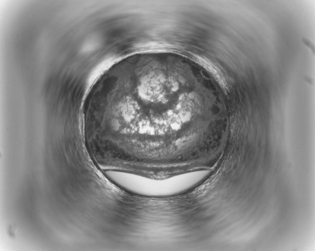 X0000093401472200711020925