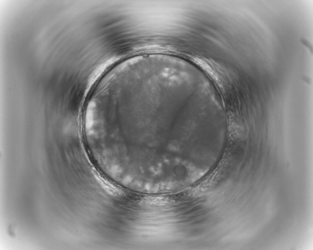 X0000093401474200711020925