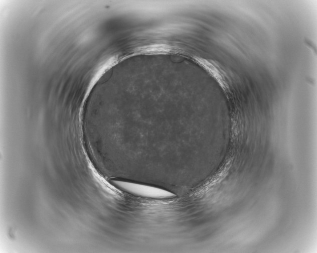 X0000093401475200711020925