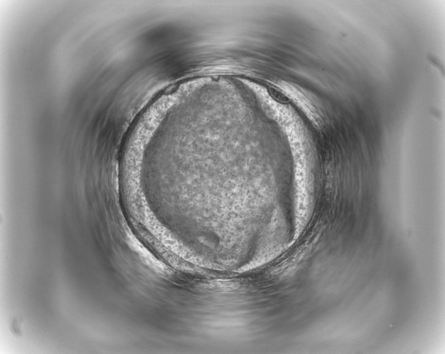 X0000093401476200711020925