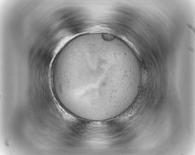 X0000093401478200711020925