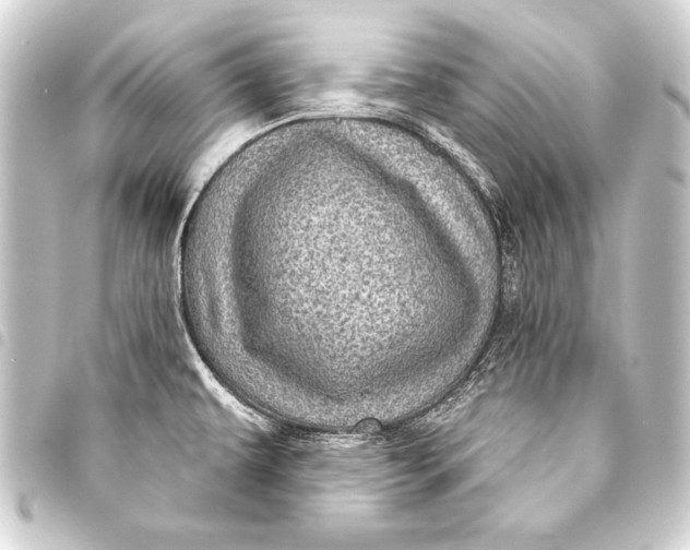 X0000093401479200711020925