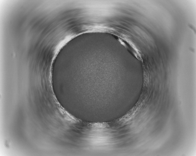 X0000093401480200711020925