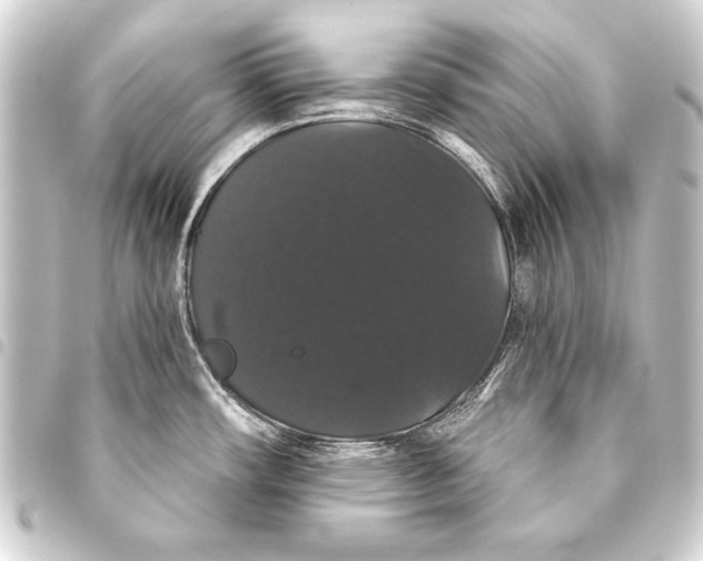 X0000093401482200711020925