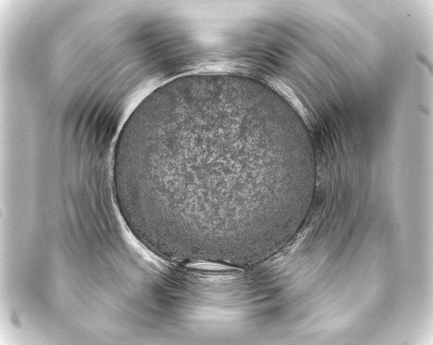 X0000093401483200711020925