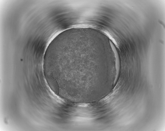 X0000093401484200711020925