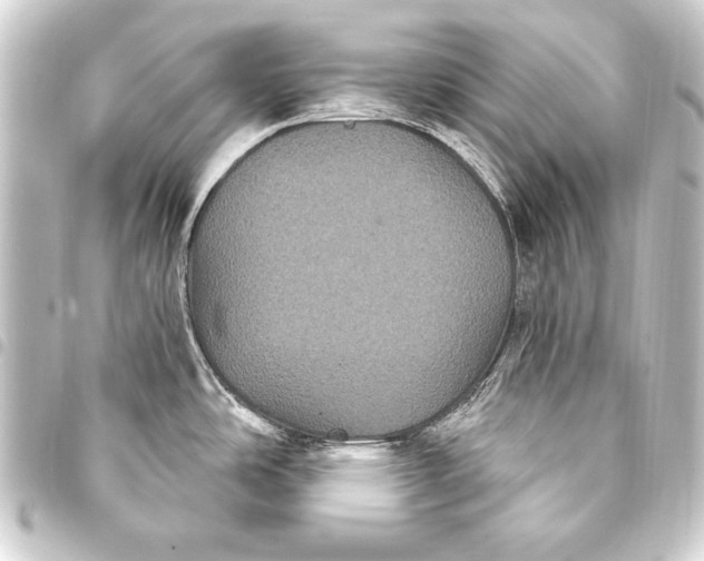 X0000093401486200711020925