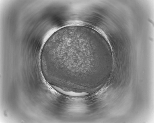 X0000093401488200711020925