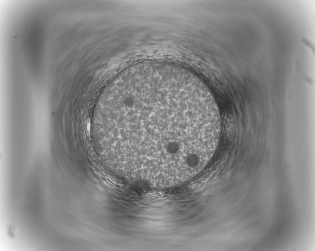 X0000093401489200711020924