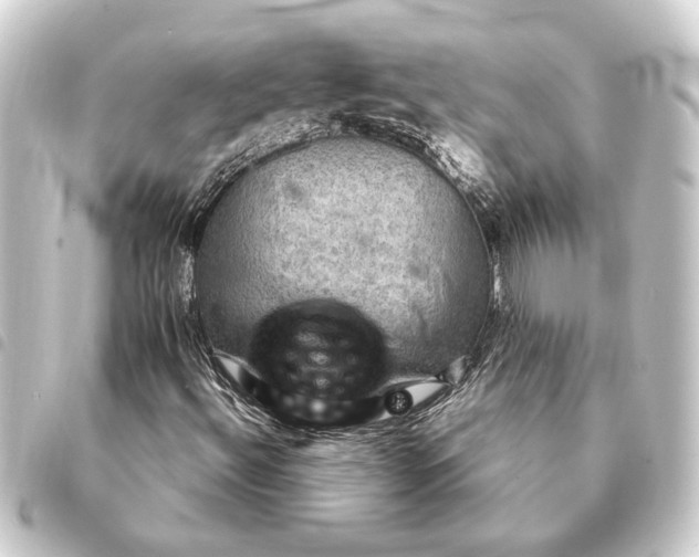 X0000093401492200711020924