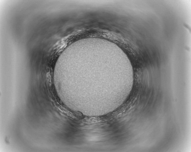 X0000093401493200711020924