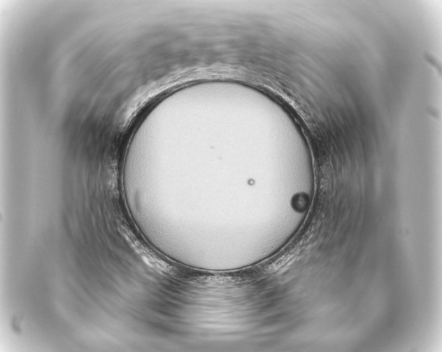 X0000093401499200711020924