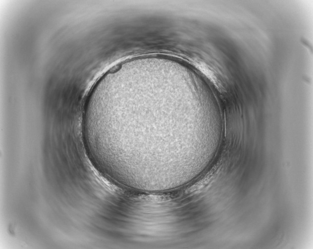 X0000093401500200711020924