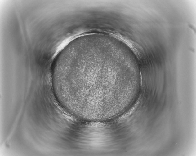 X0000093401501200711020924