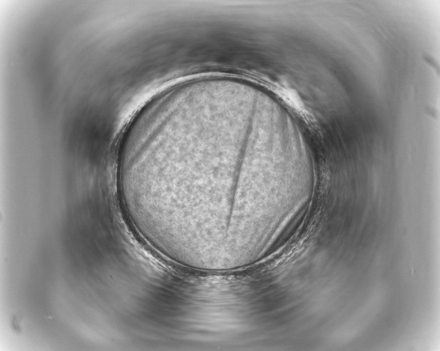 X0000093401504200711020924