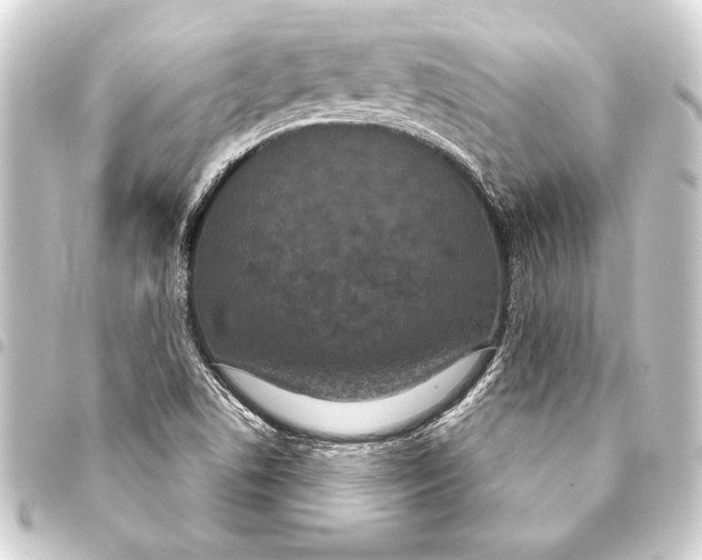 X0000093401506200711020924