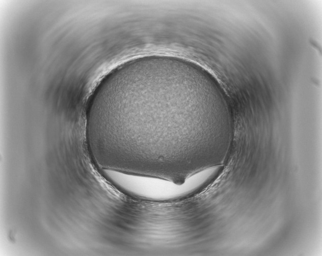 X0000093401507200711020924