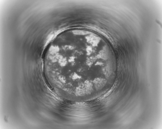 X0000093401509200711020924