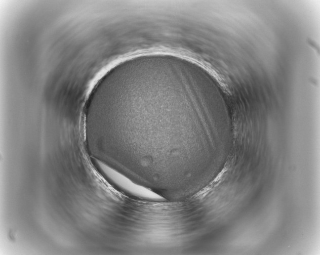 X0000093401510200711020924