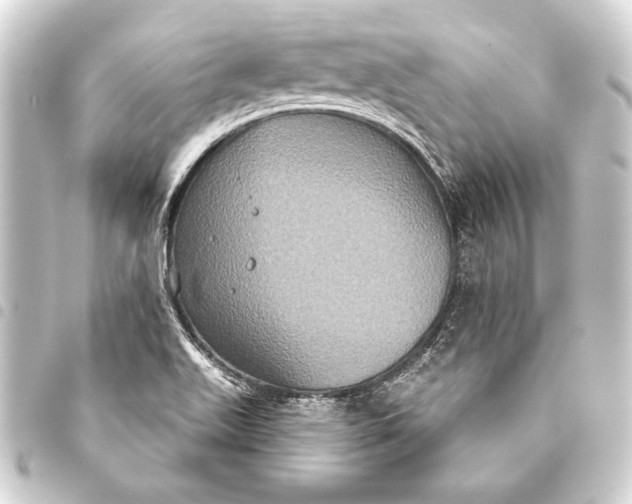 X0000093401511200711020924