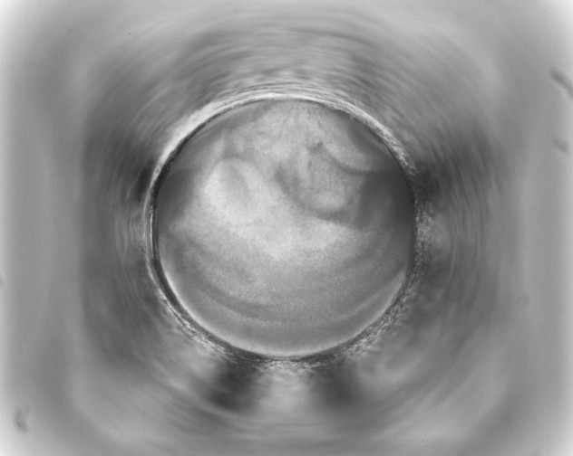 X0000093401514200711020924