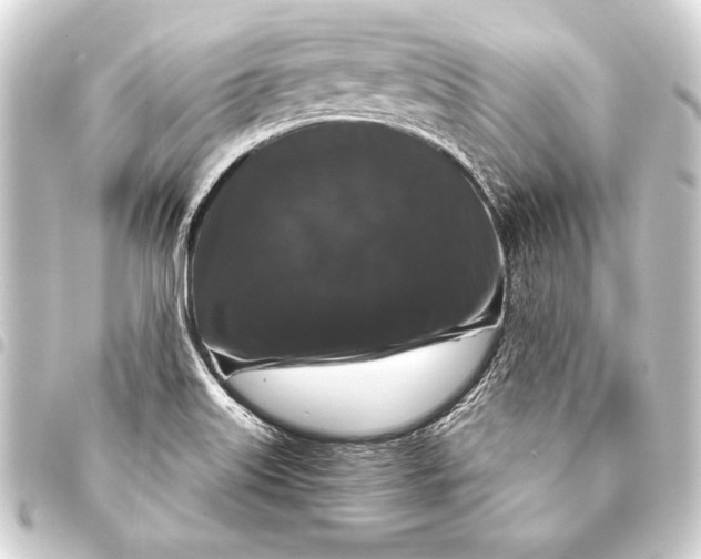 X0000093401515200711020924