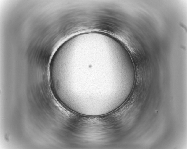 X0000093401516200711020924