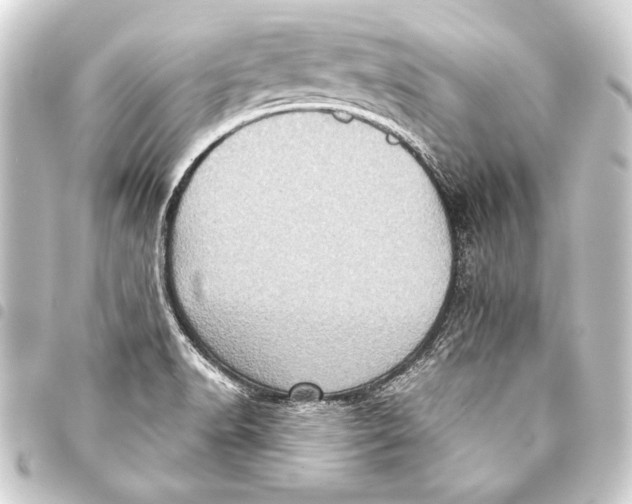 X0000093401518200711020924