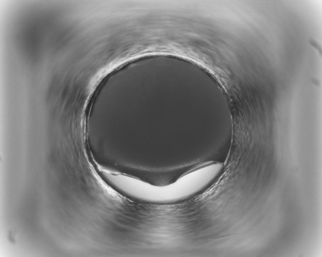 X0000093401519200711020924