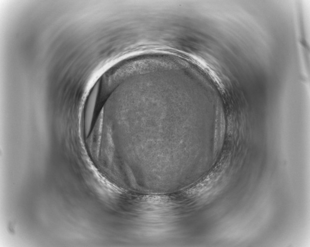 X0000093401520200711020924