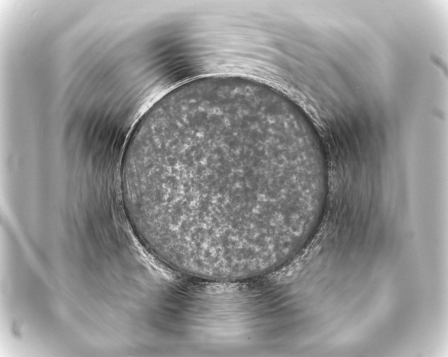 X0000093401521200711020924