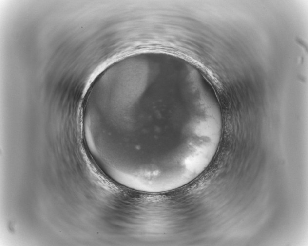 X0000093401522200711020924