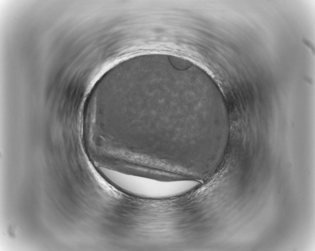 X0000093401523200711020924