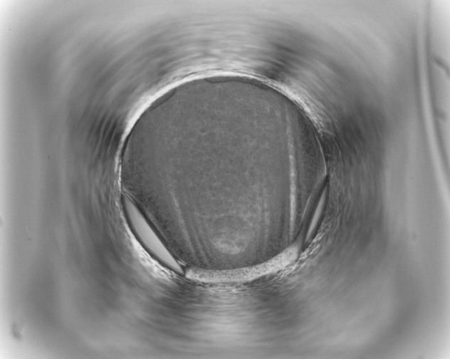 X0000093401524200711020924