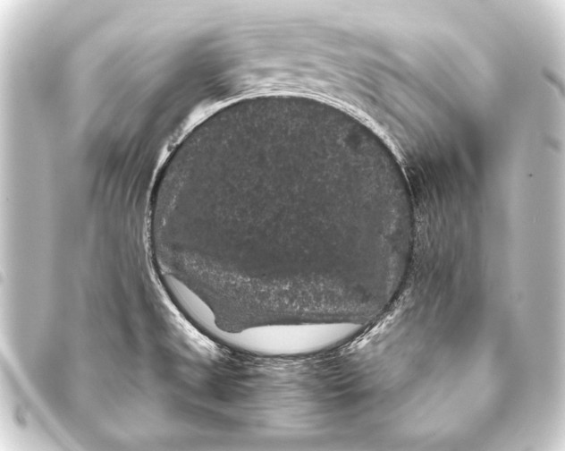 X0000093401525200711020925