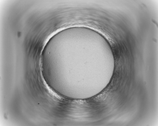 X0000093401526200711020925