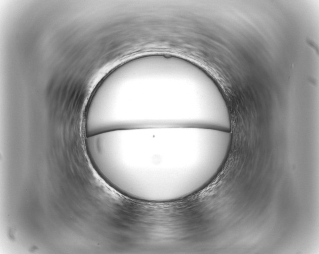 X0000093401527200711020925