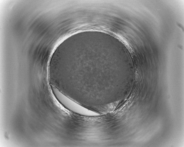 X0000093401528200711020925